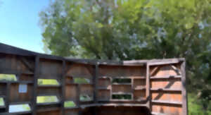 photo Sortie ornithologique à l’Espace Naturel des Savoies et Népruns