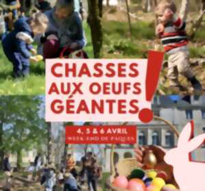 photo Chasses aux Oeufs Géantes