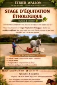 photo STAGE D'EQUITATION ETHOLOGIQUE