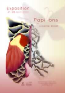 photo Exposition : Papillons