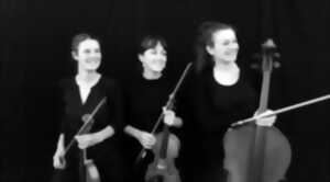 photo Animalia, concert du trio Habia