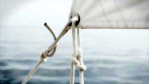 photo 3ème fête de la Mahouna