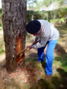 photo Portes ouvertes - La Maison de la gemme, temps des résiniers