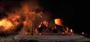 photo Le poids des fourmis