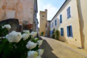 photo Visite Mon Taux d'Histoire