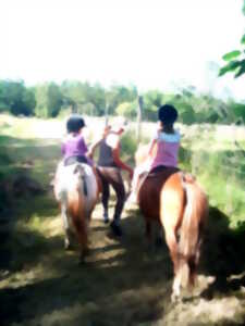 photo Demi-journée immersion avec un cheval