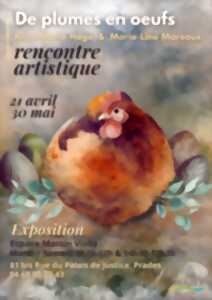 photo DE PLUMES EN OEUFS