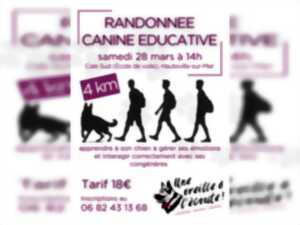 photo Randonnée canine éducative