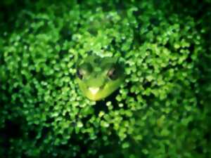 photo Exposition sur les zones humides et la biodiversité