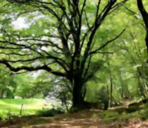 photo Randonnée commentée : Terres de légendes