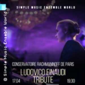 photo Ludovico Einaudi. Concert hommage