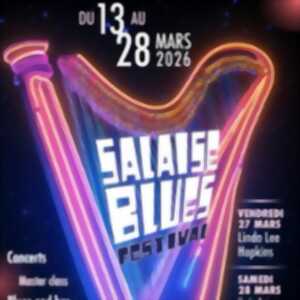 photo Salaise Blues Festival