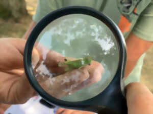 photo A la découverte des petites bêtes !