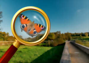 photo Inventaire participatif sur les papillons au Maharin