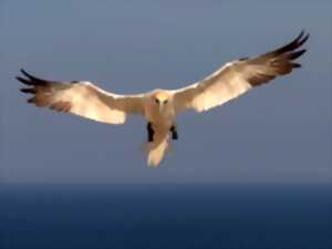 photo Exposition photographique 