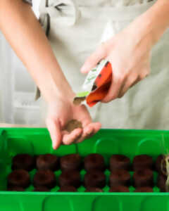 photo Atelier : Réalisation de bombes à graines