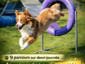 photo Concours canin - Agility