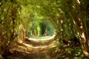 photo Fête du printemps - randonnée pédestre