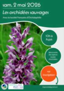 photo Les orchidées-sauvages