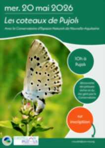 photo Les coteaux de Pujols