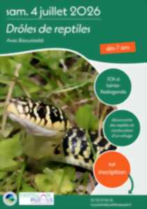 photo Petites bêtes de la mare