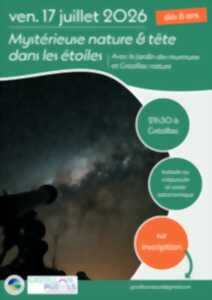 photo Mystérieuse nature et tête dans les étoiles