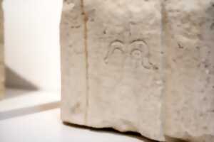 photo Atelier en famille - Empreintes et motifs