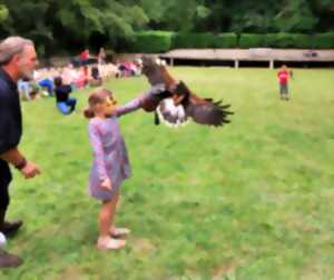 photo Les apprentis fauconniers