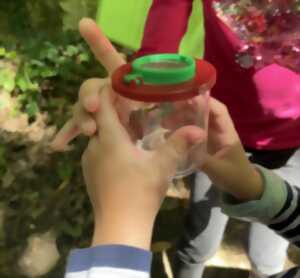 photo Garenne secrète, voyage au coeur de l'ancien domaine royal.