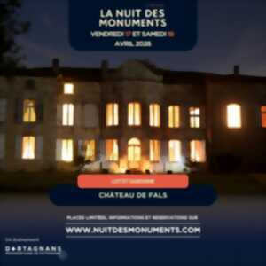 photo La nuit des monuments au château de fals