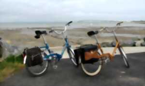 photo Exposition temporaire  : Minis vélos, grands plaisirs !