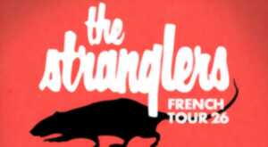 photo Concert de The Stranglers