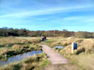 photo Balade nature en partenariat avec le Conservatoire d'Espaces Naturels Vie nocturne et biodiversité