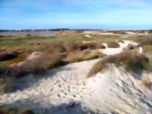 photo Observations matinales dans la nature