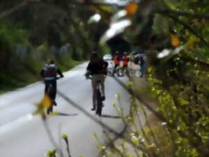 photo Balade vélo découverte