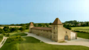 photo CHASSE AUX OEUFS INÉDITE