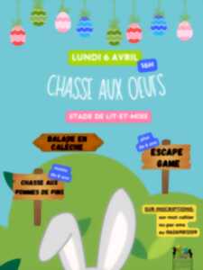 photo Chasse aux oeufs