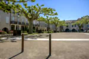 photo Visite guidée : les secrets des Sotiates