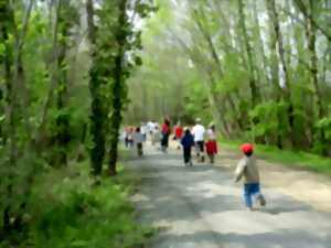 photo Marché conviviale