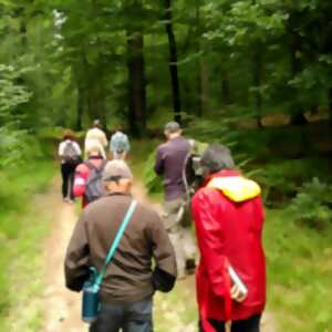 photo Marche du temps profond