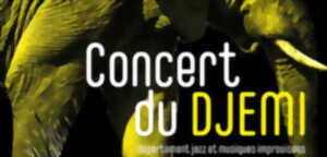 photo Concert du DJEMI #4