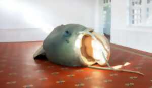 photo École des interventions