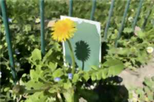 photo Refaire le monde le temps d’un apéro !