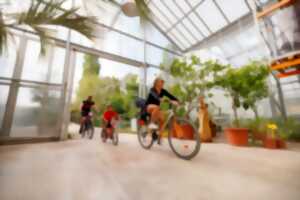 photo Vélo tour à Colmar