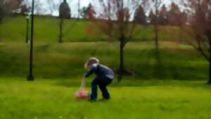 photo Chasse aux oeufs