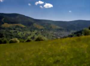 photo Sentiers Plaisir : Des troupeaux sans paysans !