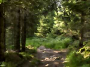 photo Sentiers Plaisir : Des milieux rares ...