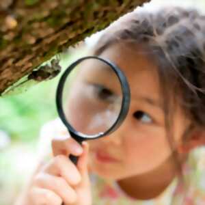 photo Atelier jeune public : Le monde des insectes