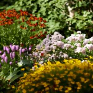 photo Troc'O plantes