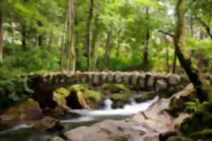 photo Club vosgien : Perles de Vologne